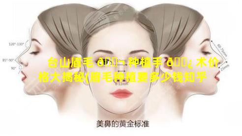 台山眉毛 🐬 种植手 🌿 术价格大揭秘(眉毛种植要多少钱知乎)